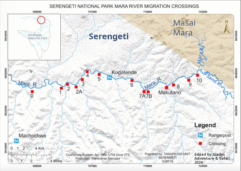 Gladys Adventure - Mara River Crossing Points