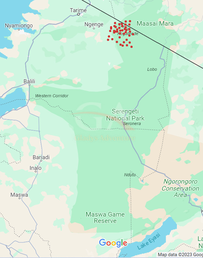 Gladys Adventure Migration Map