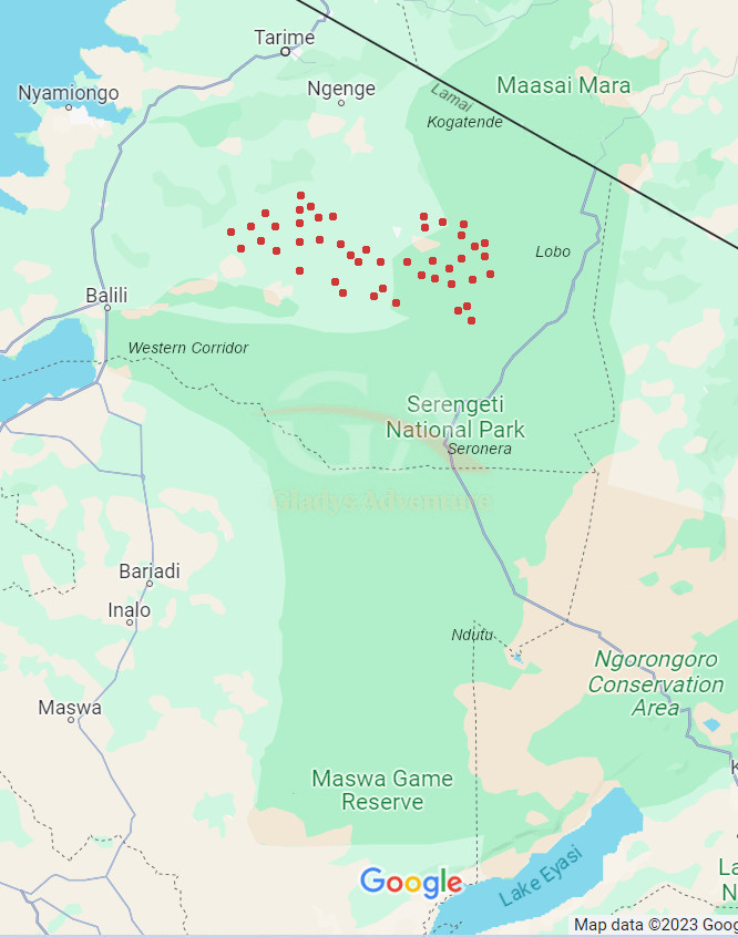 Gladys Adventure Migration Map