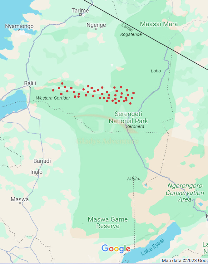 Gladys Adventure Migration Map