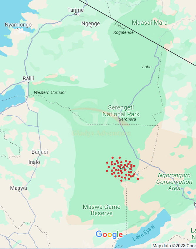 Gladys Adventure Migration Map