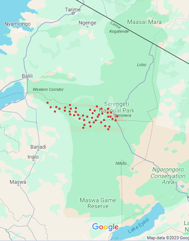 Gladys Adventure Migration Map