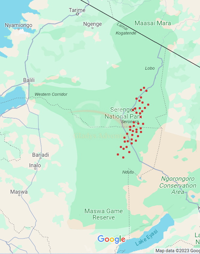 Gladys Adventure Migration Map