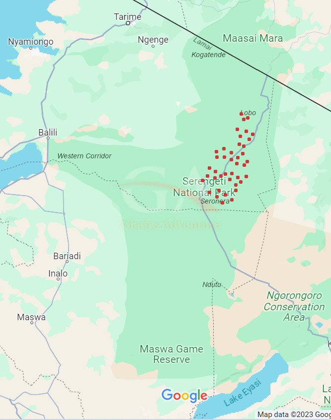 Gladys Adventure Migration Map